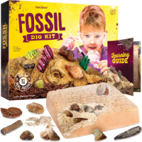 Real Fossil Dig Kit