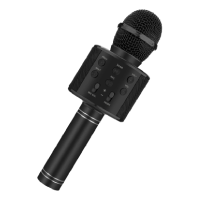 Karaoke Machine Microphone