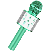 Karaoke Machine Microphone