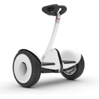 Segway Self-Balancing Electric Scooter